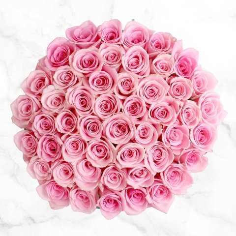 $49.99Costco 50-stem Light Pink Roses