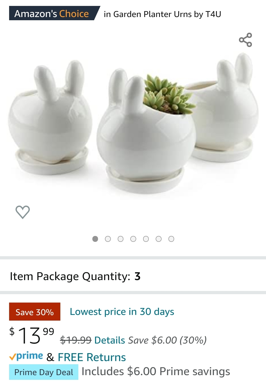 Ceramic Rabbit Planter 小白兔多肉盆
