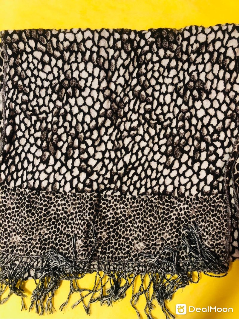 c004541b8ffe4541c7303e5.jpg