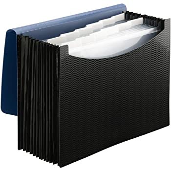 Poly Expanding File Folder, 12 Pockets