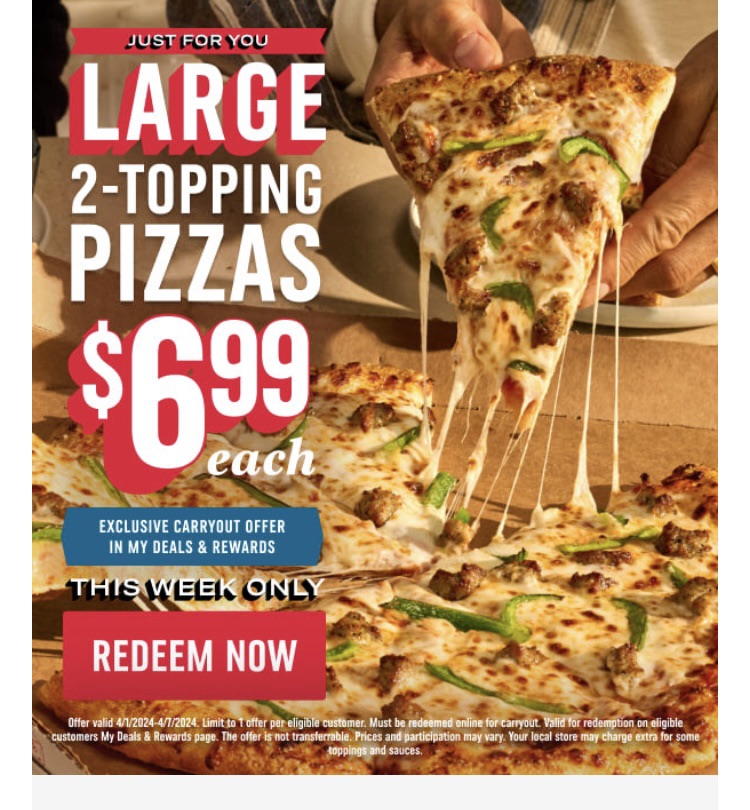 Domino Large 2 topping $6.99
