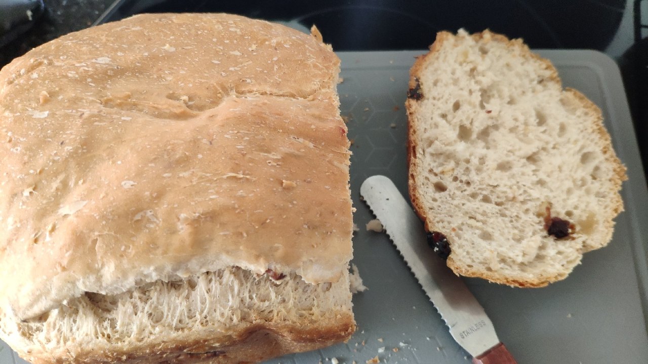 面包机对比CBK110 vs hamilton premium