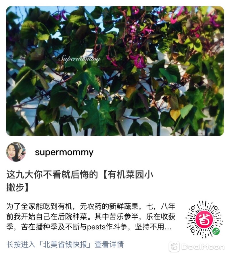 acc206320fe04cb5be49c55.jpg