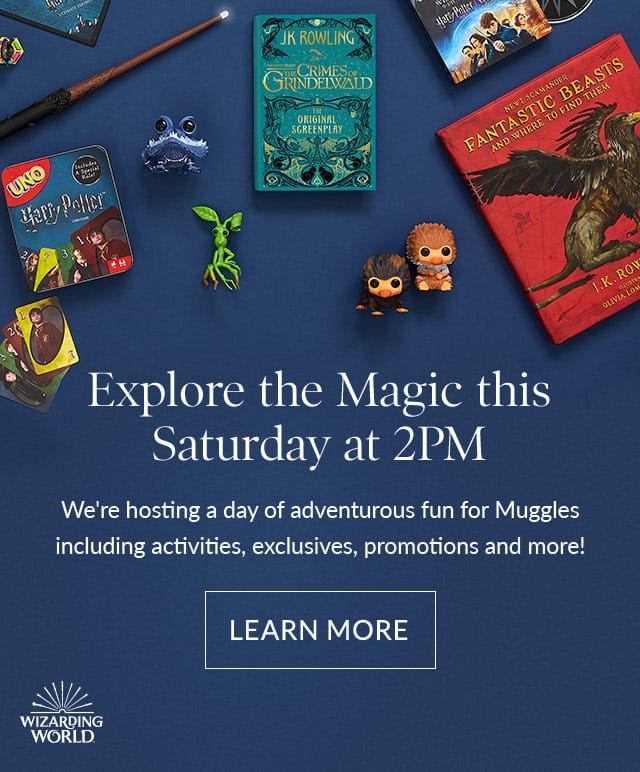 Harry Potter Barnes&Noble 专属限定乐高人仔, 店内乐高产品消费满75刀可得