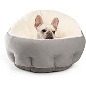 $20.39 Best Friends by Sheri OrthoComfort Deep Dish Cuddler,可机洗,标准和超大尺寸,多种颜色