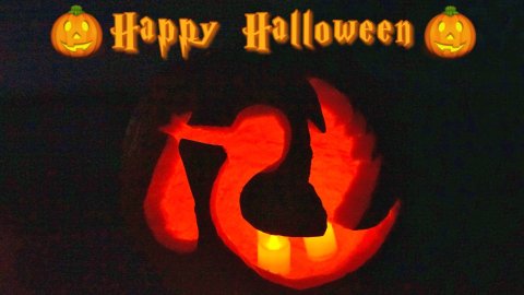 🎃Baby的第一个万圣节，我们把送婴鸟刻在了南瓜上🎃