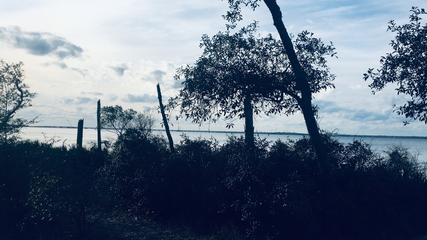 流感type a？圣诞节回国后的经历