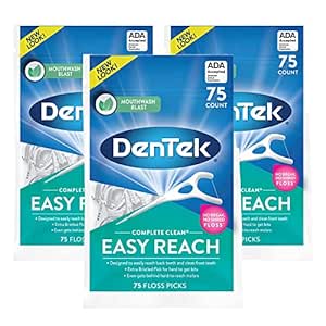 Amazon.com : DenTek, Complete Clean Floss Picks 75 Floss Picks Pack of 3, 225 Count : Health &amp; Household