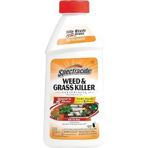 Spectracide Weed And Grass Killer Concentrate 16 Ounces