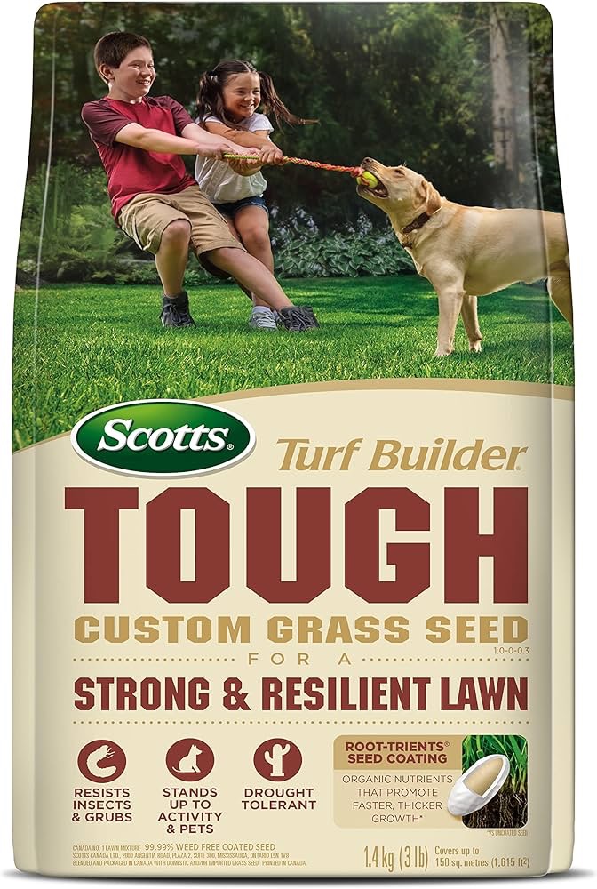 Scotts Turf Builder Tough Lawn Seed Blend 1.4kg : Amazon.ca: Patio, Lawn & Garden