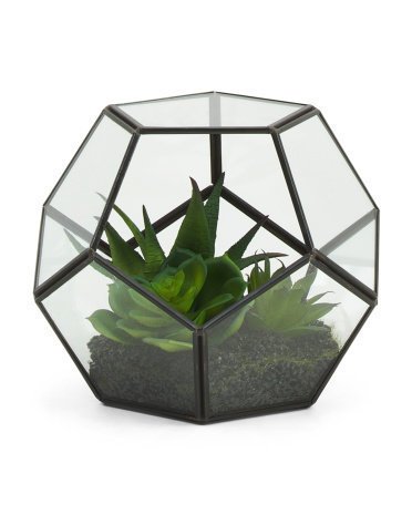 5.5in Succulent In Glass Terrarium | Home Accents | Marshalls