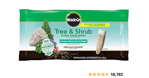 Miracle-Gro Tree & Shrub Plant Food Spikes, 12 Spikes/Pack, 12 count (Pack of 1)