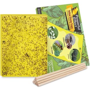 $8.07 Amazon.com : Kensizer 20 件装果蝇诱捕器,黄色粘性蚊蚋诱捕器,适用于室内/室外飞行植物昆虫,如真菌蚊蚋、粉虱、蚜虫、潜叶虫 - 6x8 英寸,包括扭结