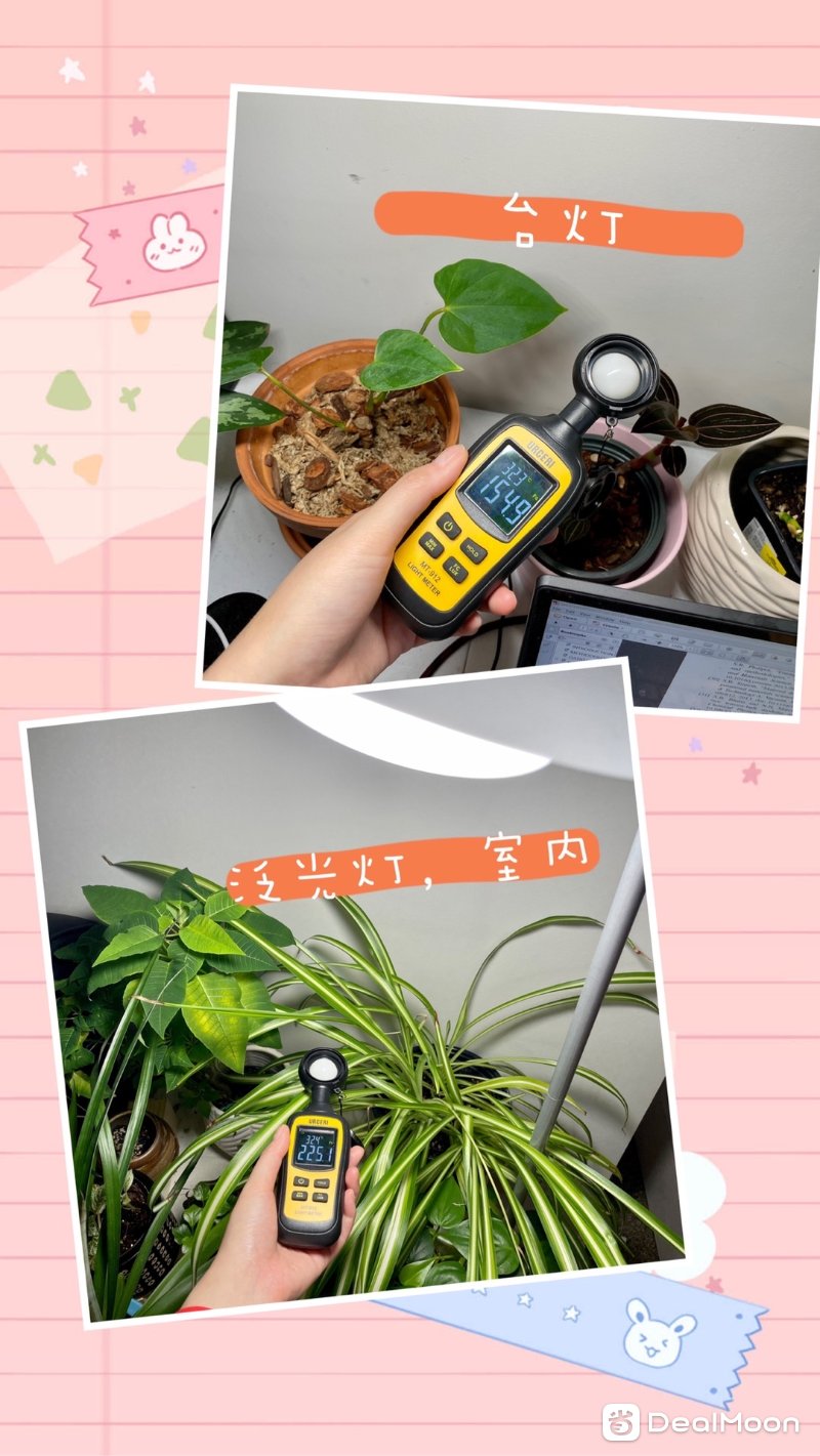 ceb06548c897cbc982d519f.jpg