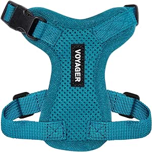 Amazon.com : Voyager Step-in Lock Pet Harness - All Weather Mesh, Adjustable Step in Harness for Cats and Dogs by Best Pet Supplies - Turquoise, XXXS : Pet Supplies