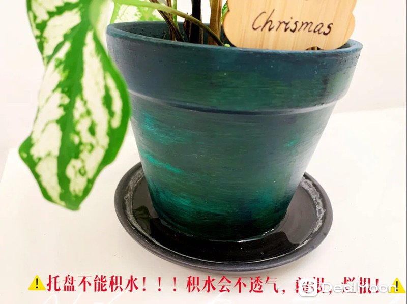 7e8f0cee082b4e3662fe01a.jpg