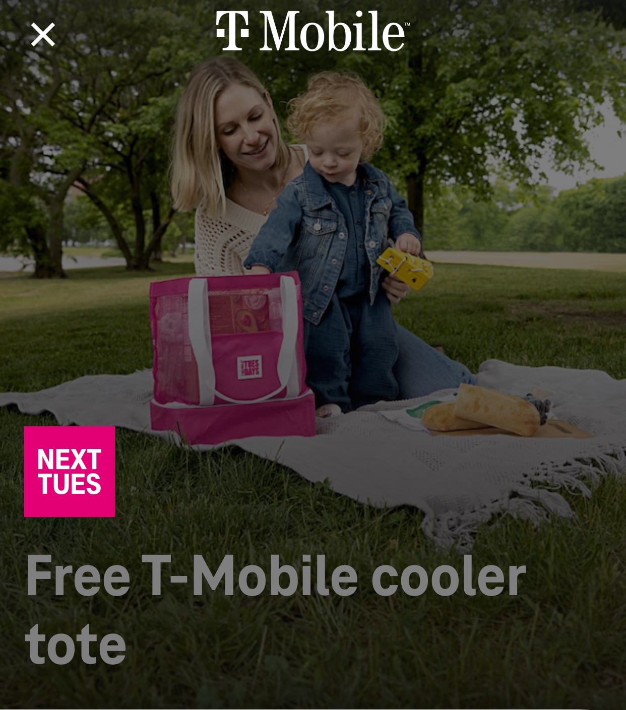 T-Mobile 週二福利 免費 Cooler Tote