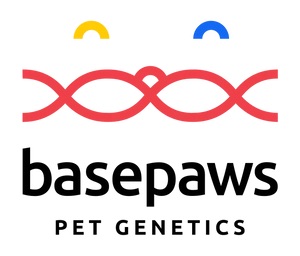 父亲节deal，$25 Off！Basepaws Cat DNA Test | Breed, Health, Dental Diseases and Traits Reports