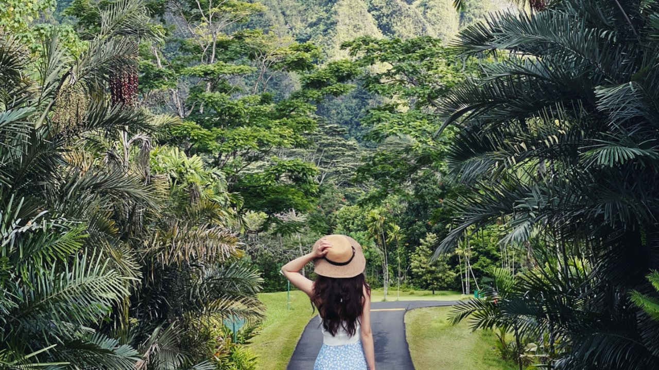 夏威夷出片网红点｜最新最美植物园拍照攻略