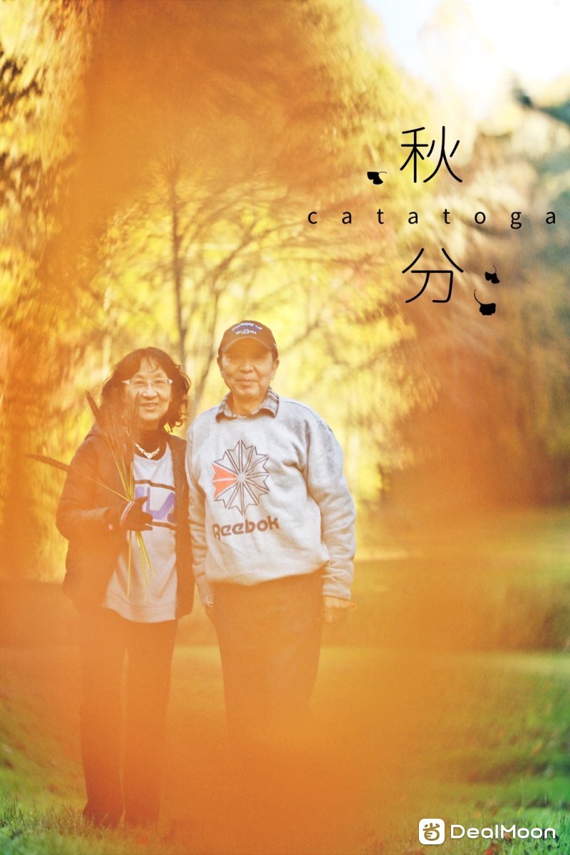 94112ac54910743ff8fa6b6.jpg