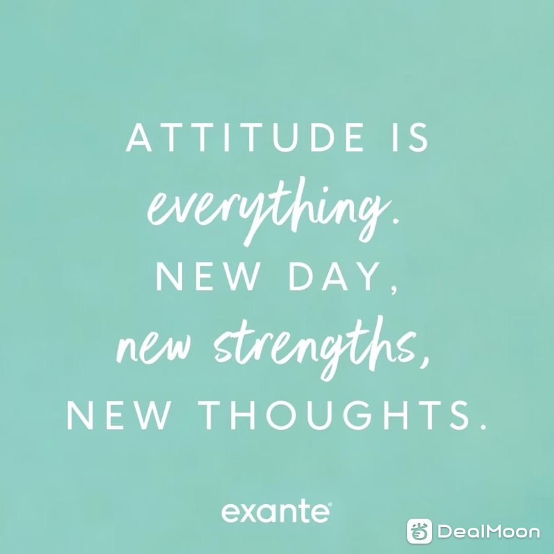 ae53d257248ae2b1c4e86c7.jpg
