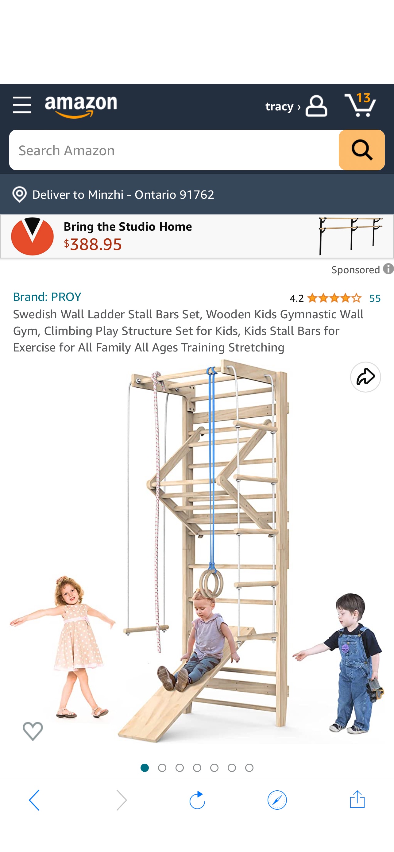 Amazon.com : Swedish Wall Ladder Stall Bars Set, Wooden Kids Gymnastic Wall Gym, Climbing Play Structure Set for Kids, Kids Stall Bars for Exercise for All Family All Ages Training Stretch