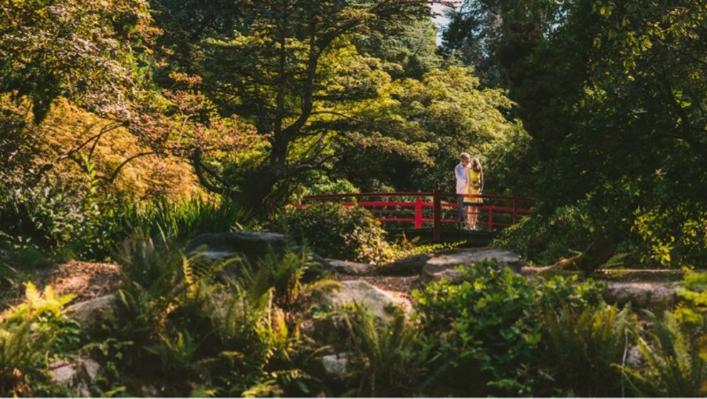 除了标志性景点,西雅图还有这些不可错过的活动景点(9月-12月篇)