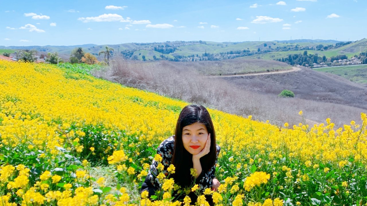 【Hi周末】春游好去处——南加州的小黄花开了！