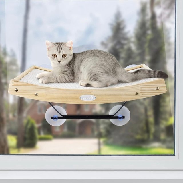 Pecute Cat Window Perch Sisal Cat Scratcher 2 in 1, Cat Hammock Window Seat with Solid Wood Frame, Iron Bracket and Heavy Duty Suction Cups Holds Cats Up to 30lbs : Pet Supplies