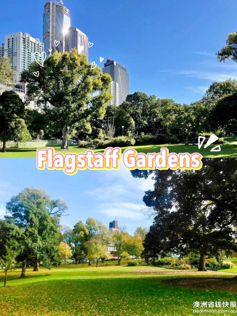 f331da91618a1bb3772dc29.jpg
