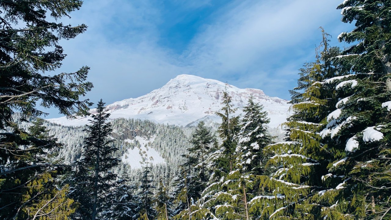 2019圣诞节旅游Mt Rainier NP&Olympic NP&西雅图 