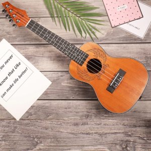 $19.99 Amazon 21寸 乌克丽丽