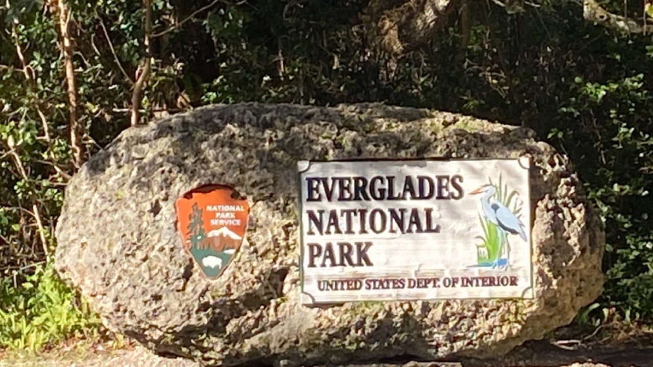 美国Everglades national park 和 Biscanye游记