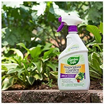 Garden Safe Houseplant and Garden Insect Killer 24-Ounce Spray