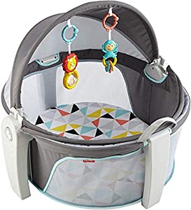 Fisher-Price 攜帶式寶寶提籃 On-the-Go Baby Dome
