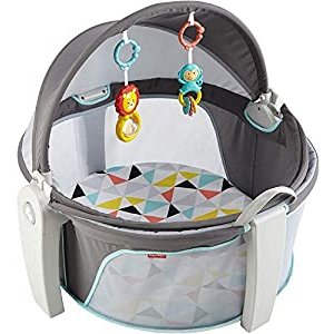 $64.99 Fisher-Price 攜帶式寶寶提籃 On-the-Go Baby Dome