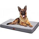 Amazon.com : Eterish Large Orthopedic Dog Bed for Medium, Large Dogs up to 75 lbs, 3 inches Thick 
