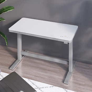 Tresanti Geller 47” Adjustable Height Desk | Costco