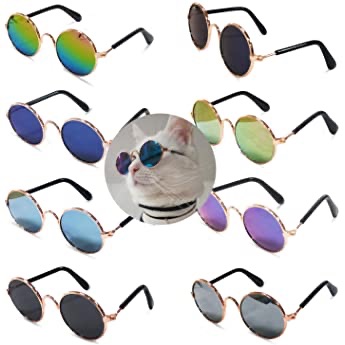 十个装的猫墨镜️ 万圣节最靓的仔