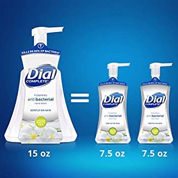 Amazon.com：Dial全抗菌泡沫洗手液，椰子水/舒缓白茶，大瓶15盎司×4瓶（1包）：美容和个人护理