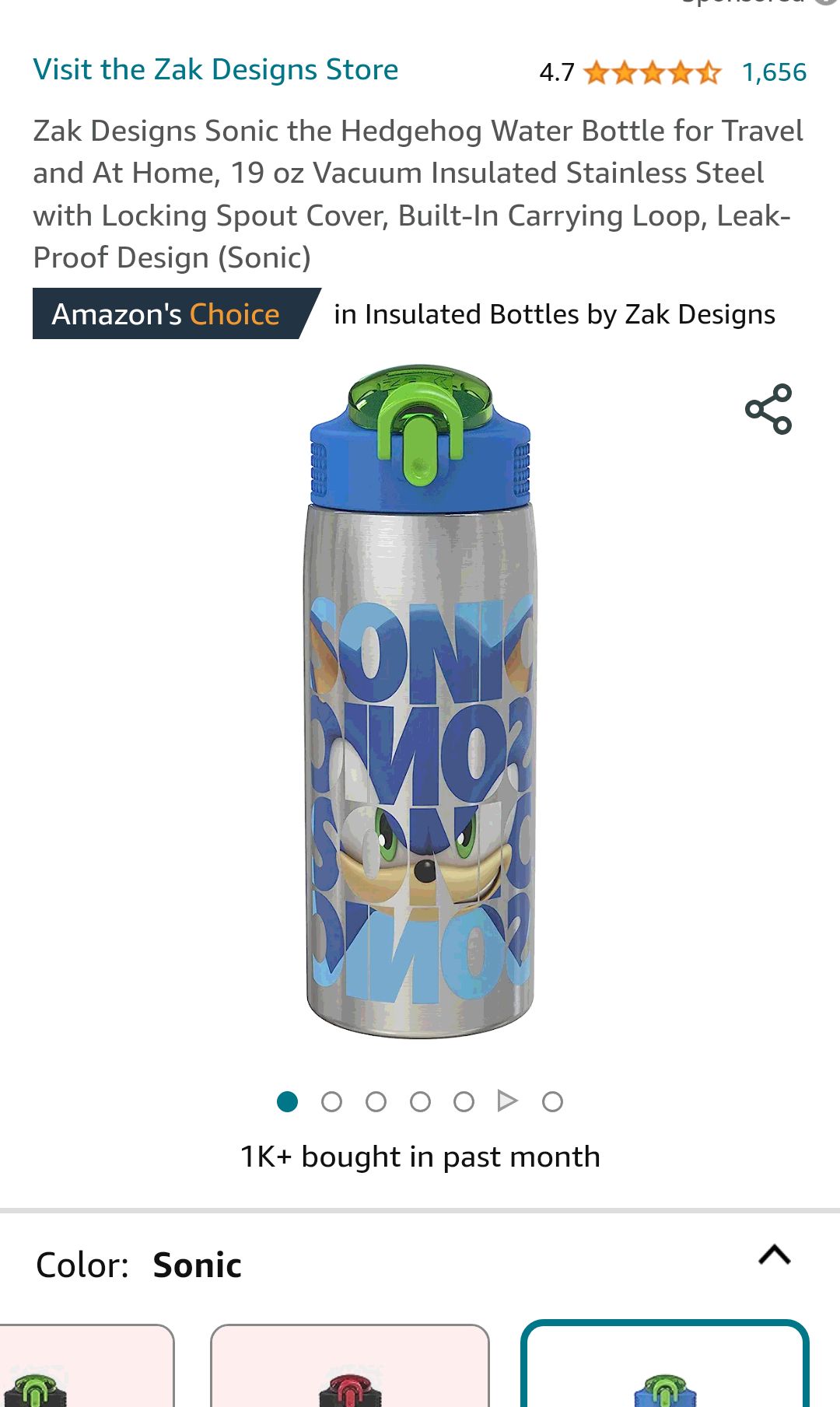 Zak Designs Disney Princess Water Bottle for Travel and At Home, 19 oz Vacuum Insulated Stainless Steel with Locking Spout Cover, Built-In Carrying Loop, Leak-Proof Design (Disney Princess): Home & Ki