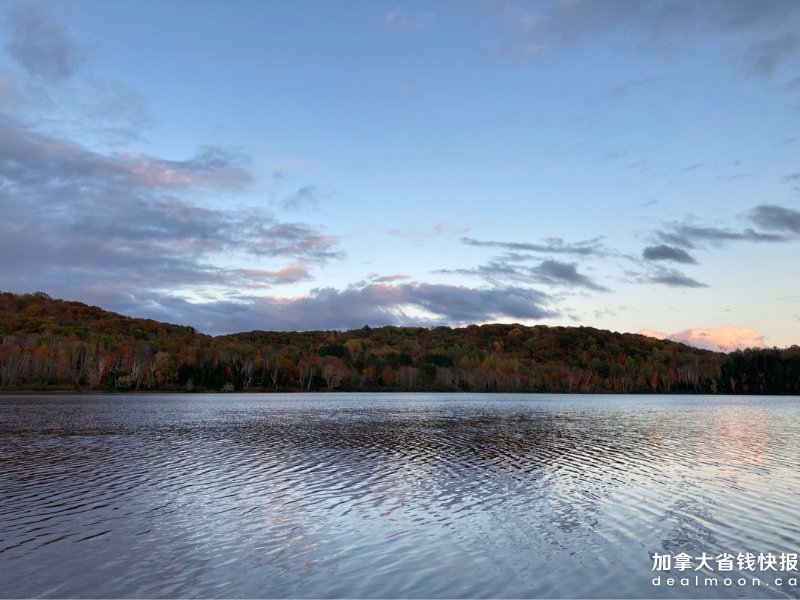 789fff8746f2c006e66cb12.jpg