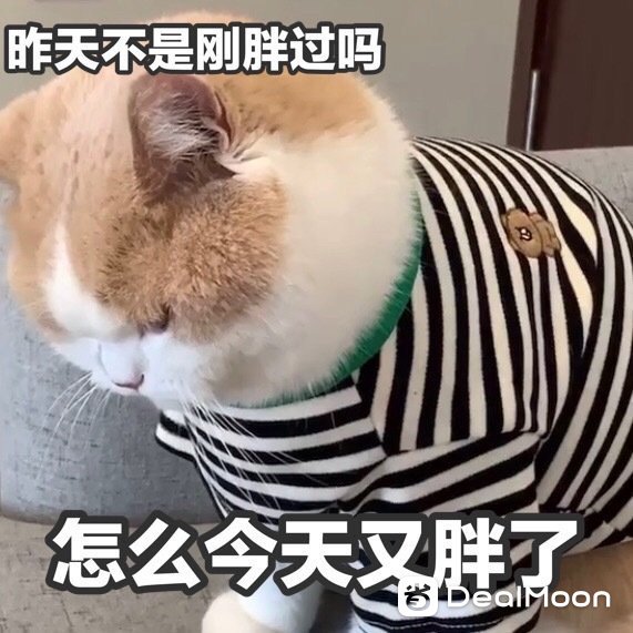 89de6c7c644ab51b5a641f3.jpg