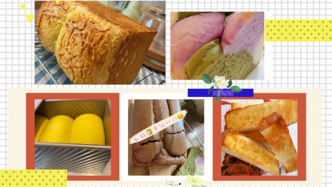 从简单的白吐司🍞到五彩缤纷的各色吐司进化🧬
