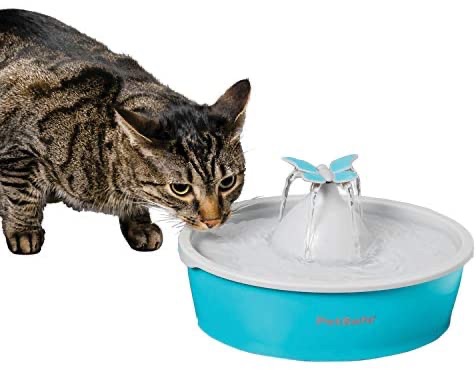 Amazon.com : PetSafe Butterfly Dog & Cat Water Fountain – Pet Drinking Fountain – Best for Cats & Small Dogs – 50 Oz Capacity : Pet Supplies 喝水