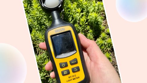 绿植到底要几只☀️｜用Light Meter熟悉Brightness|知识分享