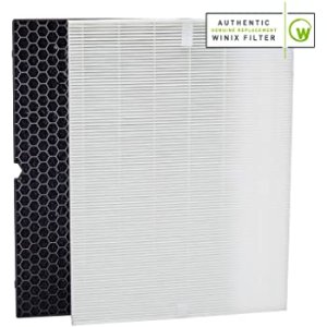 Winix 116130 Replacement Filter H for 5500-2 Air Purifier