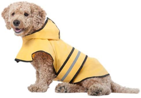 时尚小型犬连帽狗雨衣