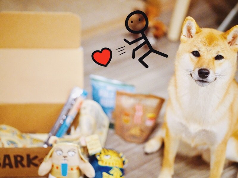 Barkbox | 一站定制你与狗狗的每月专属惊喜❤️