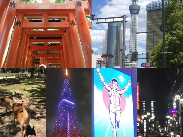 15天断腿日本游，玩尽大阪，京都，东京，富士山…各种打卡胜地！（关西篇）